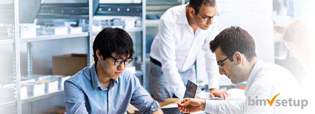 BIM-Setup - Professionelle BIM Implementierung