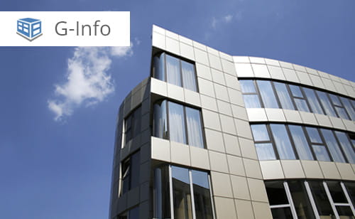 G-Info