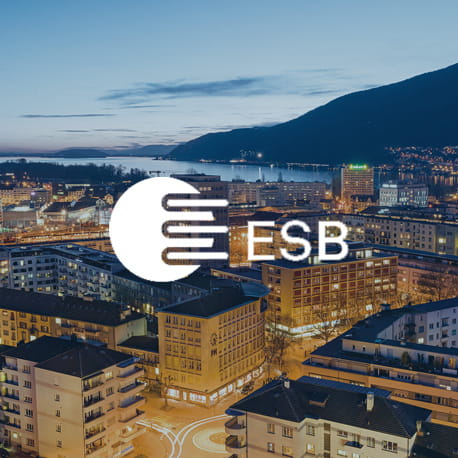 Kundenreferenz Energieversorger ESB 2021